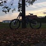 Ralph Stein - @rxlph___ - Instagram