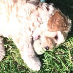 Ralph Stein Hoggan - @ralph_stein_hoggan - Instagram
