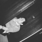 Ralphstein Schrödinger - @ralphsteinschrodinger - Instagram