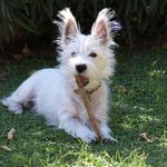 Ralph Stenger - @ralph1972a - Instagram
