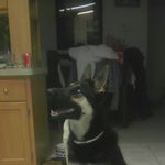 Ralph.stenger - @r.stenger1972 - Instagram