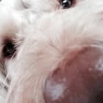 Ralph Sterling - @ralph.sterling - Instagram