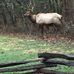 Ralph Stidham - Facebook