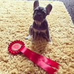 KingRalph - @ralphstockley - Instagram