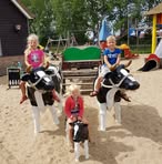 Ralph Stoffels - Facebook