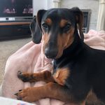 Ralph Storey - @ralphstorey2019 - Instagram