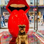 Ralph Rhubarb - @ralphstorm_ - Instagram