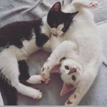 Ralth & Storm - @ralph_storm28 - Instagram