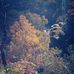 Ralph Stover State Park - Facebook