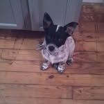 Ralph Stowell - @stoweralph - Instagram