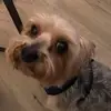 Ekrillzz - @ralphsutherland06 - TikTok