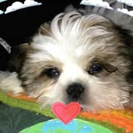 Ralph Sweat - Facebook