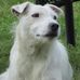 Ralph Tanner - Facebook