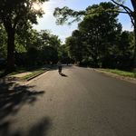 RalphTanner - @ralphtanner1 - Instagram
