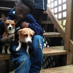 ralphtanner - @lilralphtanner - Instagram