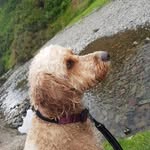 Ralph Thomson - @ralph_red123 - Instagram