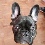 Ralph Thomson - @official_ralph_thomson - Instagram