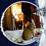 Ralph Thorpe - @ralph.thorpe.359 - Instagram
