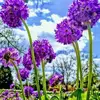 Ralph Tran - @ralph.tran - TikTok