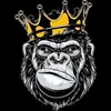 RalphTran1205 - @ralphtran1205 - TikTok
