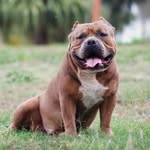 Ralf Trujillo. - @ralphtrujillobully.ve - Instagram