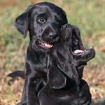 Ralph Vance - @ralphvance - Instagram