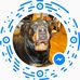 Ralph Vickers - Facebook