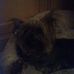 Ralf Vogt - Facebook
