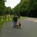 Ralph Vogtmann - @ralphvogtmann - Instagram