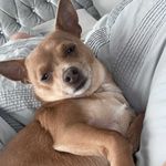 Ralph Wallace - @ralphwallacex - Instagram