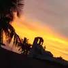 ralph wayne - @ralph.oxonian - TikTok