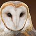 Ralph Weathers - Facebook