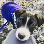 Ralph Weeks - @the_adventuresofralph - Instagram