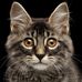 Ralph Weinstein - Facebook