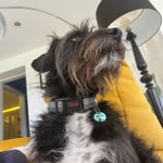 Ralph whittingham - @whittingham.ralph - Instagram