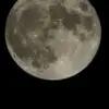 Ralf Wilhelm - @ralf.wilhelm6 - TikTok