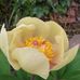 Ralph Windle - Facebook