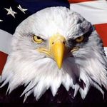 Ralph Wingfield - @ralphwingfield - Instagram