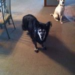 Ralph Winn - @rwinn53 - Instagram