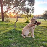 @ralph_winniexx - Instagram