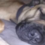 @ralph_wiseman_ - Instagram