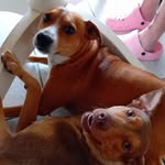 Ralph Witt - @nahibimamide - Instagram