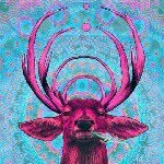 reek - @ralphwitty - Instagram