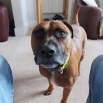 Ralph Wood - @ralphwood67 - Instagram