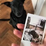 Ralph Woods - @ralphwoods_ - Instagram
