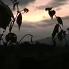WORTHY_WR_RALPH - @ralphyyj47n - TikTok