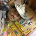 Ralph Wrenn - Facebook