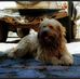 Rolf Wroblewski - Facebook