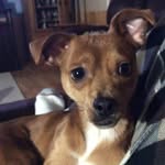 Ralph Wyman - @pllot666 - Instagram