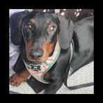 Ralph Yates - Facebook